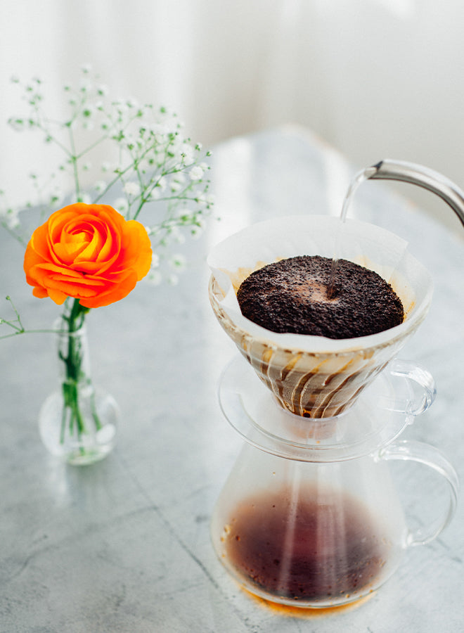 Hario - Glass Coffee Brewing Kit V60-02