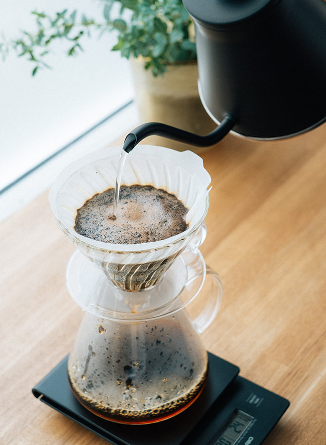 Hario - Glass Coffee Brewing Kit V60-02