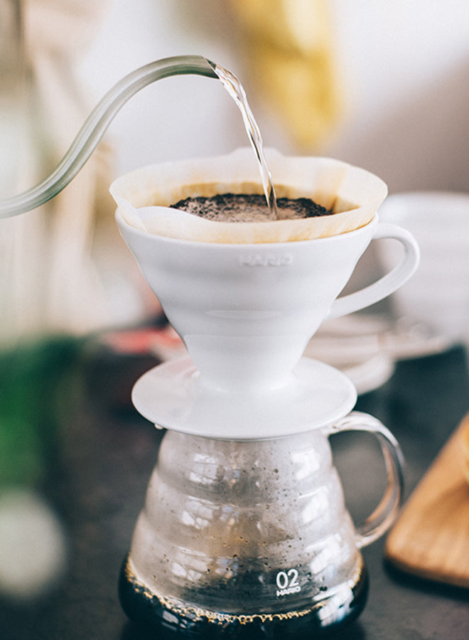 Hario - Ceramic Coffee Dripper V60-01 - White